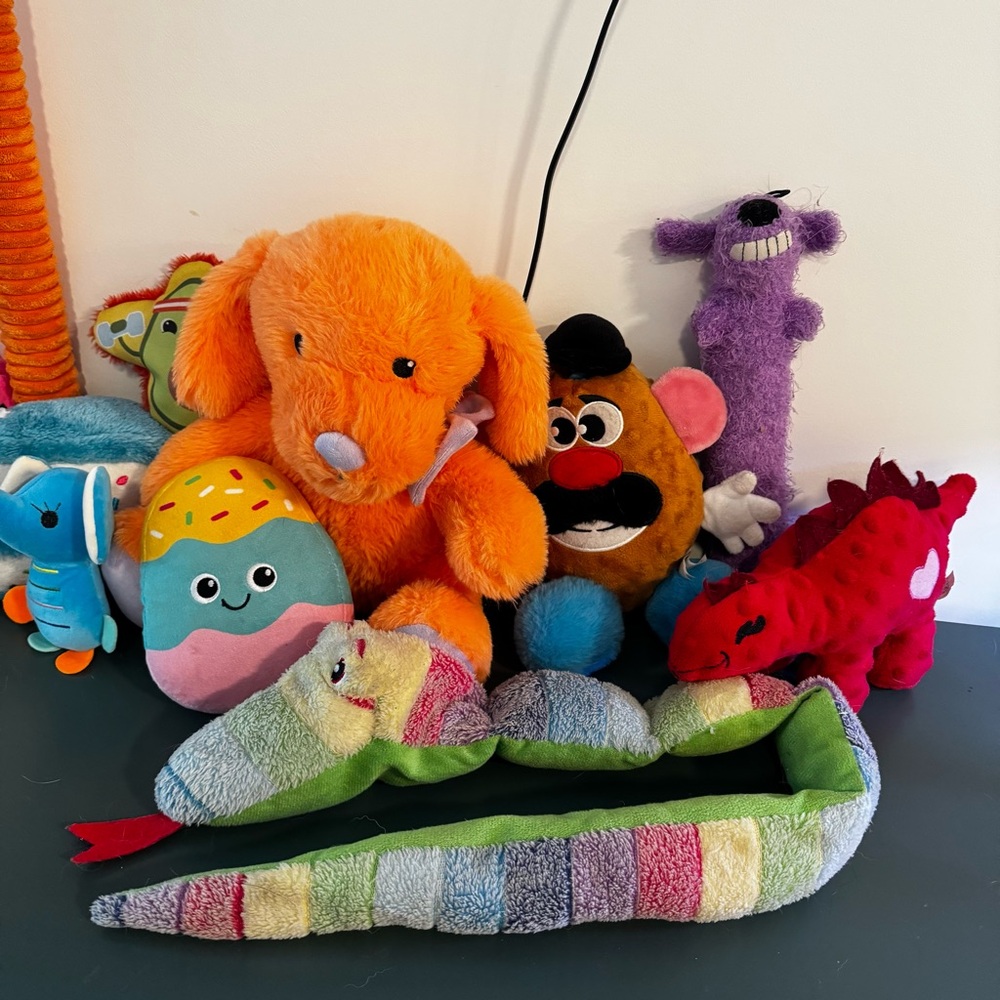 Vibrant Dog Toy Collection - Picture 3 of 9